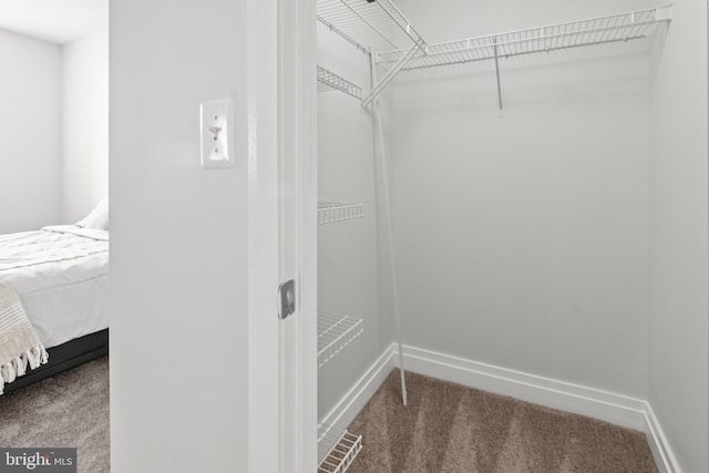 spacious closet featuring carpet