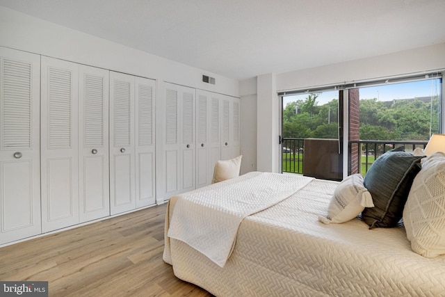 1300 Army Navy Dr Unit 124, Arlington, VA 22202 - bedroom with access to exterior, light wood-type flooring, and two closets