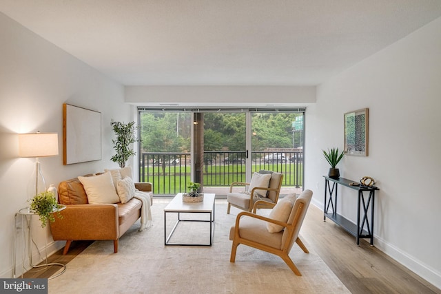 1300 Army Navy Dr Unit 124, Arlington, VA 22202 - living area featuring light wood finished floors, plenty of natural light, and baseboards