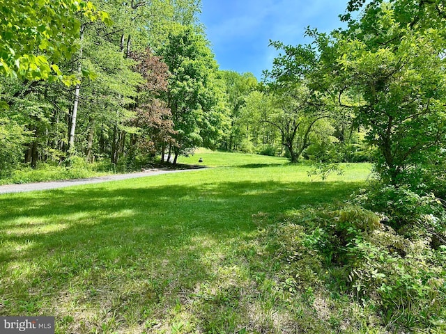 view of green lawn featuring a wooded view