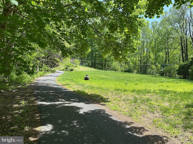 view of street featuring a view of trees