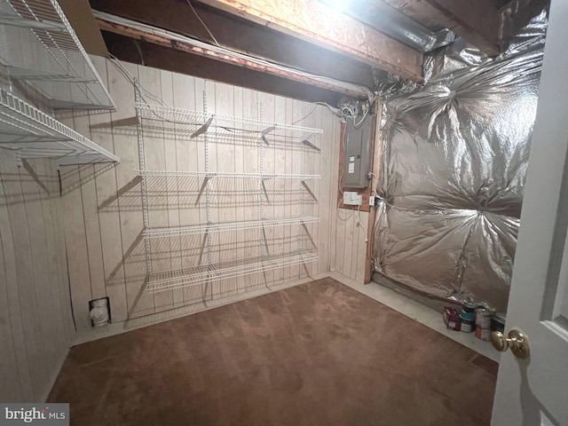 storage room featuring electric panel