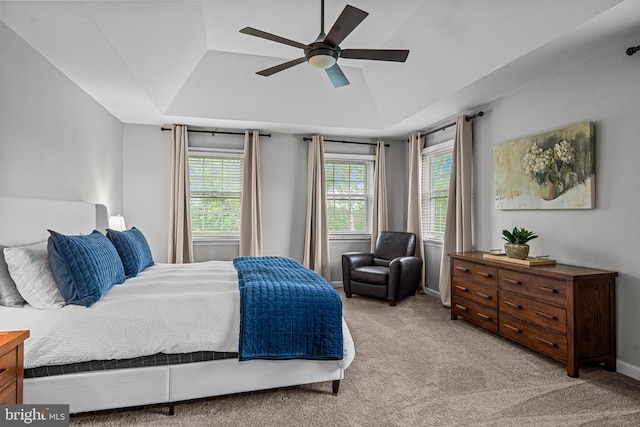 115 Hartefeld Dr, Avondale, PA 19311 - bedroom featuring a tray ceiling, carpet, and ceiling fan