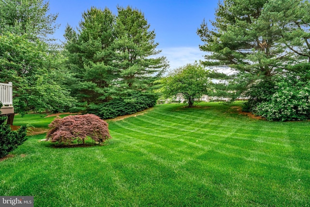 115 Hartefeld Dr, Avondale, PA 19311 - view of green lawn