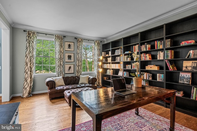 115 Hartefeld Dr, Avondale, PA 19311 - office area with crown molding, light wood-style floors, and baseboards