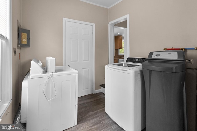 294 Jefferson St, Carneys Point, NJ 08069 - laundry room featuring washing machine and dryer, ornamental molding, wood finished floors, and electric panel