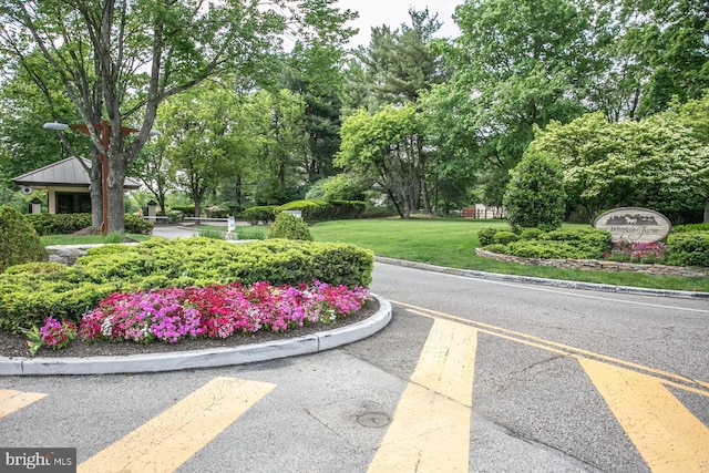 view of community featuring view of wooded area