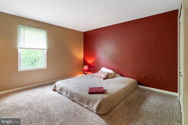 101 George St, Taneytown, MD 21787 - carpeted bedroom featuring baseboards