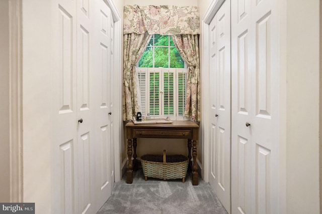 759 Avenue F, Langhorne, PA 19047 - detailed view of carpet flooring