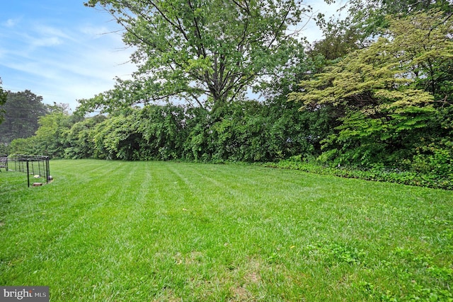 759 Avenue F, Langhorne, PA 19047 - view of green lawn featuring a view of trees