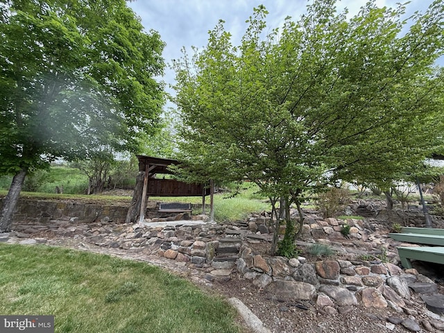 64 Mulberry St, Franklin, WV 26807 - view of yard