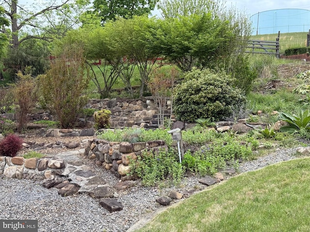 64 Mulberry St, Franklin, WV 26807 - view of yard featuring fence