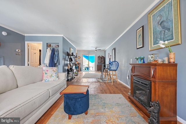 59 Wyatt St, Frederica, DE 19946 - living room with wood finished floors, crown molding, baseboards, and a glass covered fireplace
