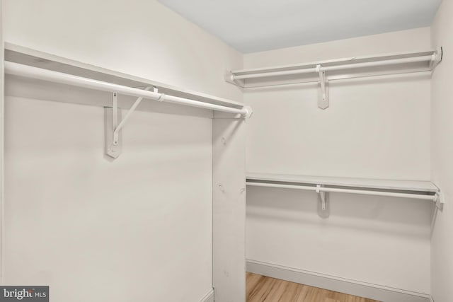 6 Granby Ln, Ocean Pines, MD 21811 - walk in closet featuring wood finished floors