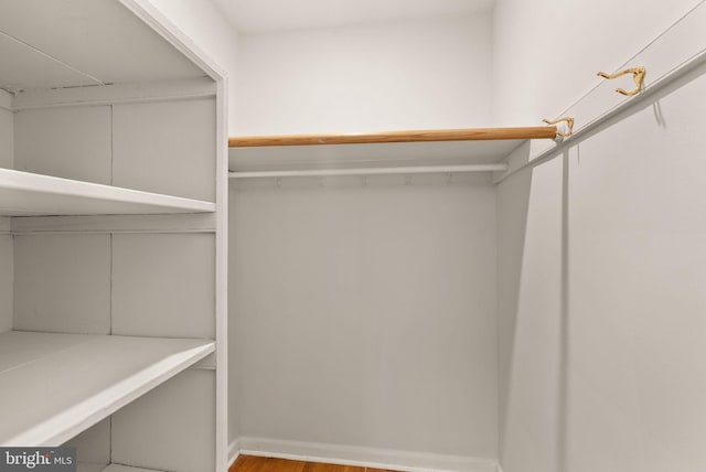 spacious closet featuring wood finished floors