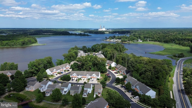10020 Iron Pointe Dr Unit 9D, Millsboro, DE 19966 - view of property location with a large body of water, nearby suburban area, and a heavily wooded area