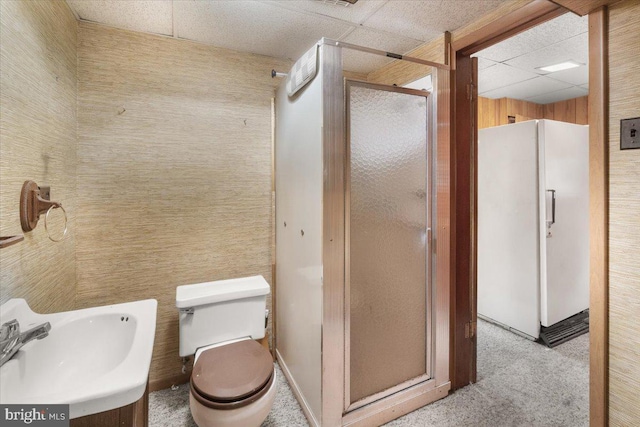 bathroom featuring a sink, a drop ceiling, a stall shower, and toilet