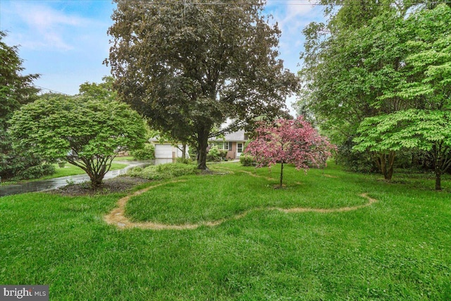 view of grassy yard
