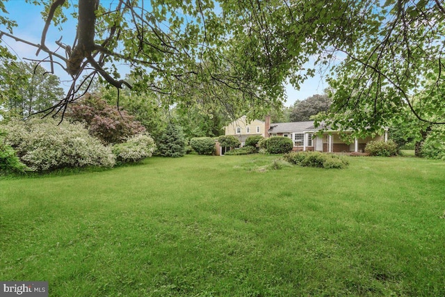 view of green lawn