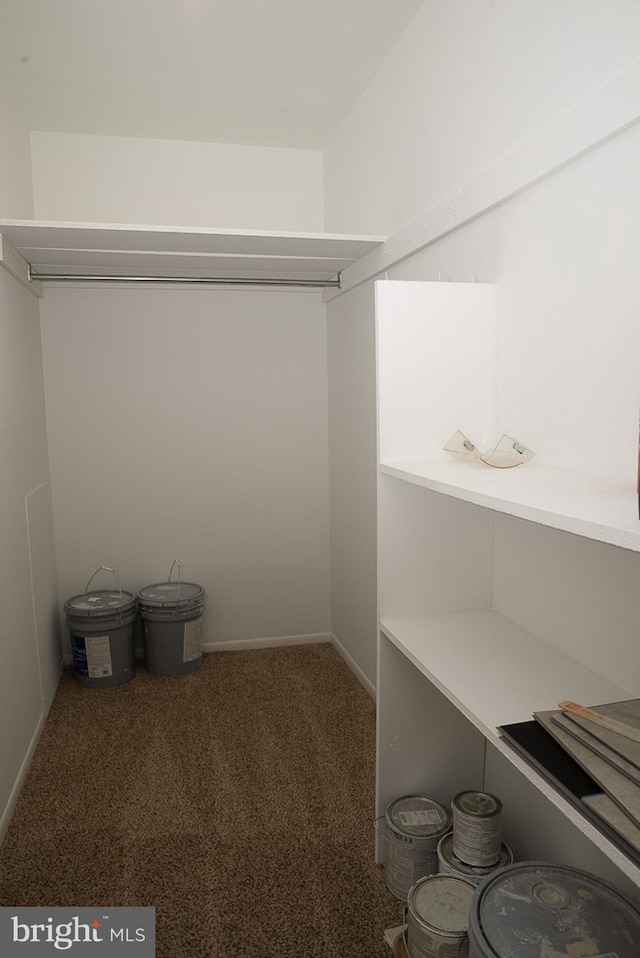 spacious closet with carpet floors
