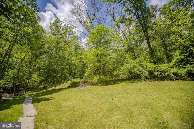 view of green lawn with a wooded view