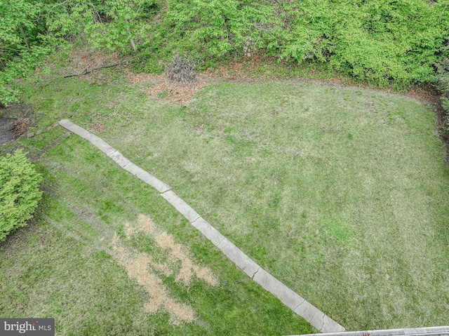 view of green lawn