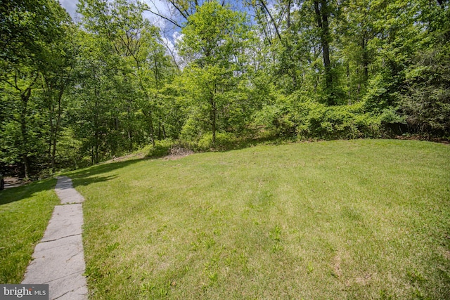 view of green lawn with a forest view