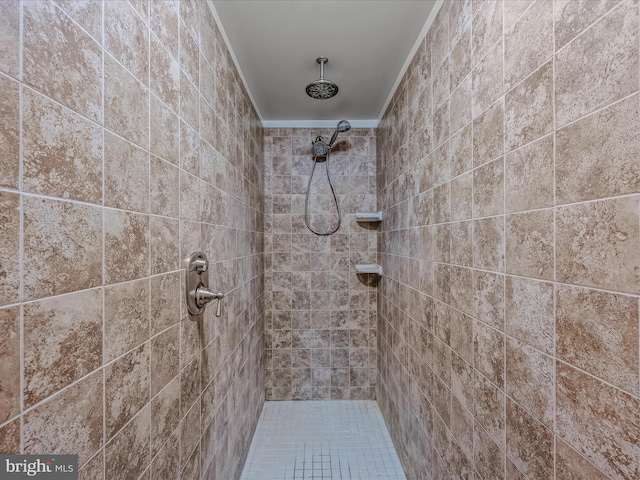 326 Soldier Dr, Bunker Hill, WV 25413 - bathroom featuring a tile shower