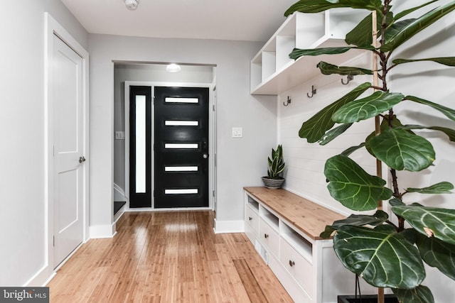 2432 S Culpeper St, Arlington, VA 22206 - mudroom with light wood-style floors and baseboards