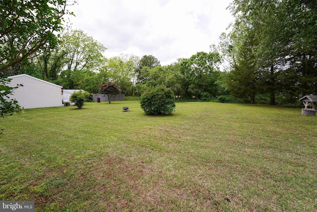 20560 Nanticoke Rd, Nanticoke, MD 21840 - view of green lawn with view of scattered trees