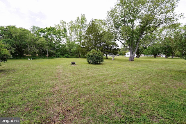 20560 Nanticoke Rd, Nanticoke, MD 21840 - view of grassy yard