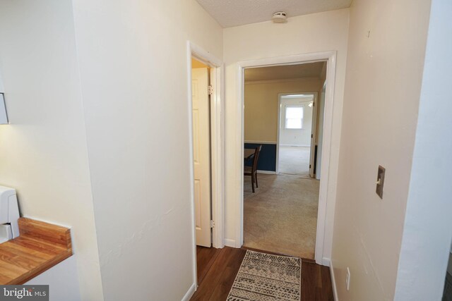 20560 Nanticoke Rd, Nanticoke, MD 21840 - hallway with dark wood-type flooring and baseboards