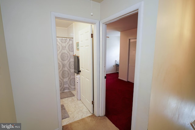 20560 Nanticoke Rd, Nanticoke, MD 21840 - hall with carpet