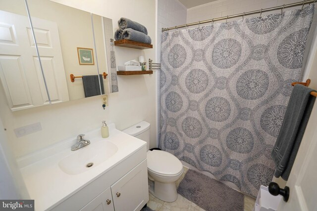 20560 Nanticoke Rd, Nanticoke, MD 21840 - bathroom featuring toilet, vanity, and a shower with curtain