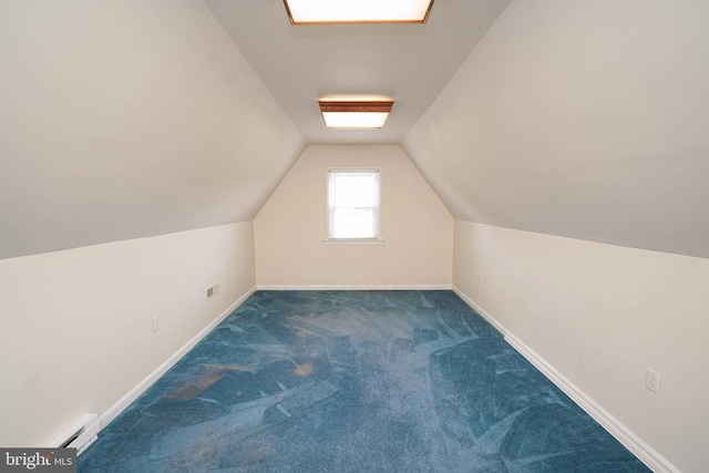 20560 Nanticoke Rd, Nanticoke, MD 21840 - bonus room with carpet flooring, vaulted ceiling, baseboards, and a baseboard heating unit