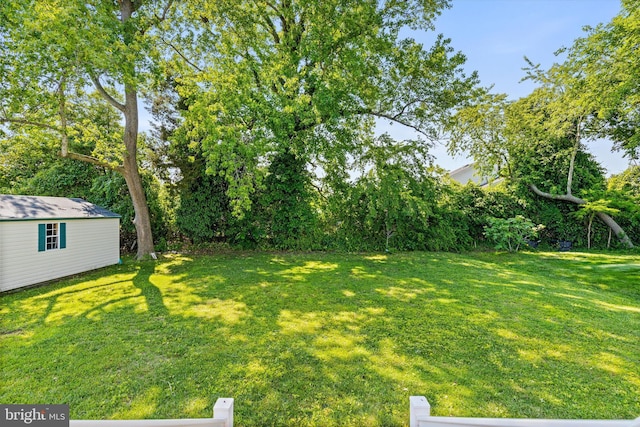 201 Henrys Mill Dr, Berlin, MD 21811 - view of green lawn featuring an outdoor structure