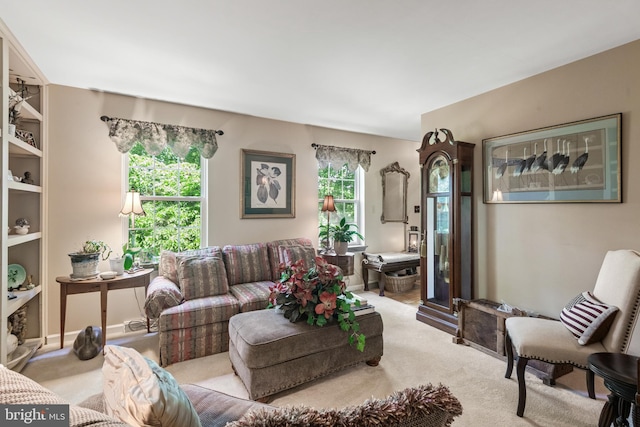 living area with carpet floors
