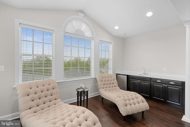 16024 Waterford Crest Pl, Paeonian Springs, VA 20129 - sitting room featuring dark wood finished floors, wet bar, vaulted ceiling, baseboards, and ornate columns