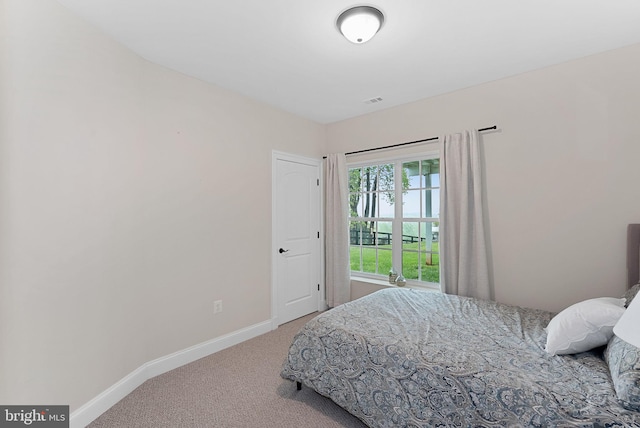 16024 Waterford Crest Pl, Paeonian Springs, VA 20129 - carpeted bedroom with baseboards