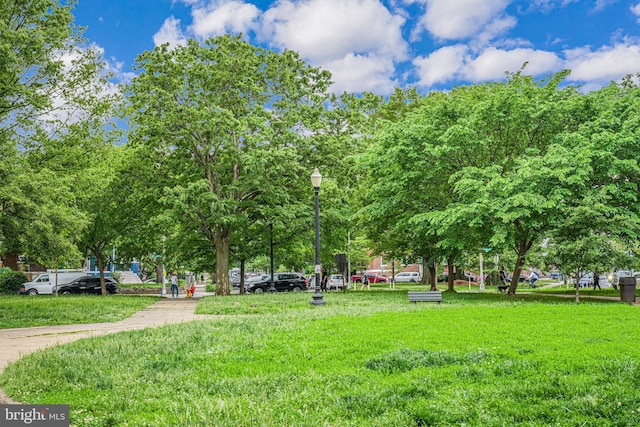 view of community featuring a yard