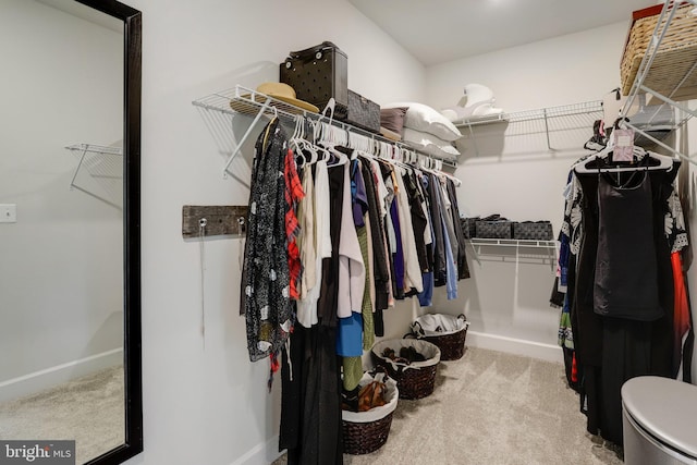 133 Greentree Farm Dr, Dickerson, MD 20842 - walk in closet featuring carpet flooring