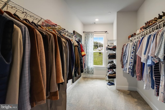 133 Greentree Farm Dr, Dickerson, MD 20842 - spacious closet featuring carpet flooring