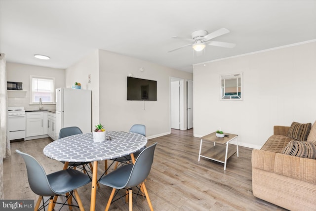 1004 Philadelphia Ave, Ocean City, MD 21842 - dining space featuring ceiling fan, light wood-type flooring, and baseboards