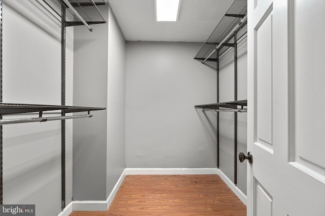 walk in closet with wood finished floors