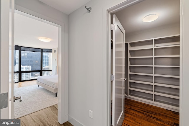 2018 Walnut St Unit 19Gh, Philadelphia, PA 19103 - hallway with wood finished floors, baseboards, and a wall of windows