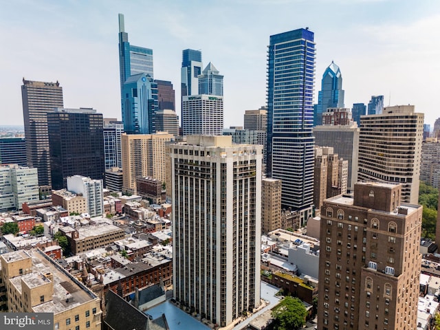 2018 Walnut St Unit 19Gh, Philadelphia, PA 19103 - view of city skyline
