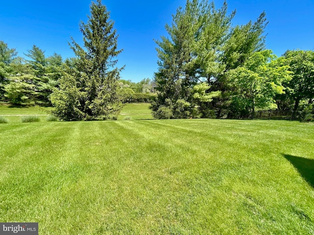 52 Dalton Way, Southampton, PA 18966 - view of yard