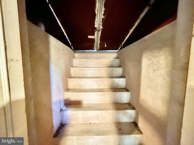 52 Dalton Way, Southampton, PA 18966 - view of staircase