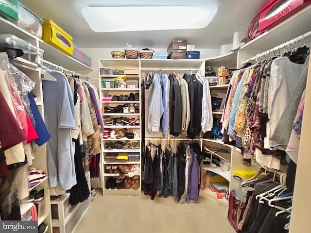52 Dalton Way, Southampton, PA 18966 - view of walk in closet