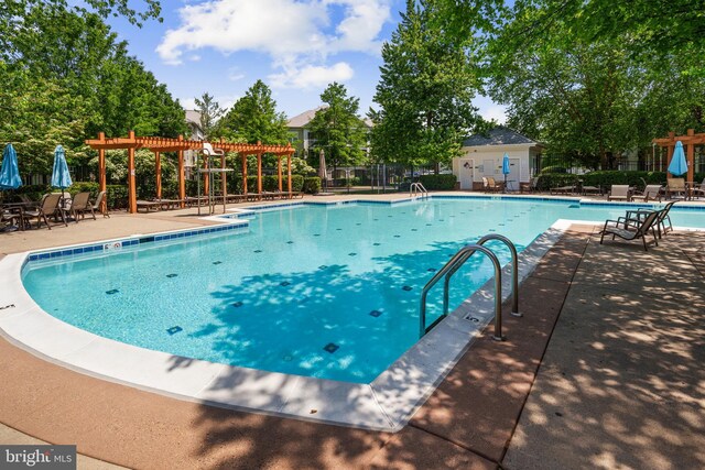 42397 Goldenseal Sq, Brambleton, VA 20148 - community pool featuring a pergola, a patio area, and fence